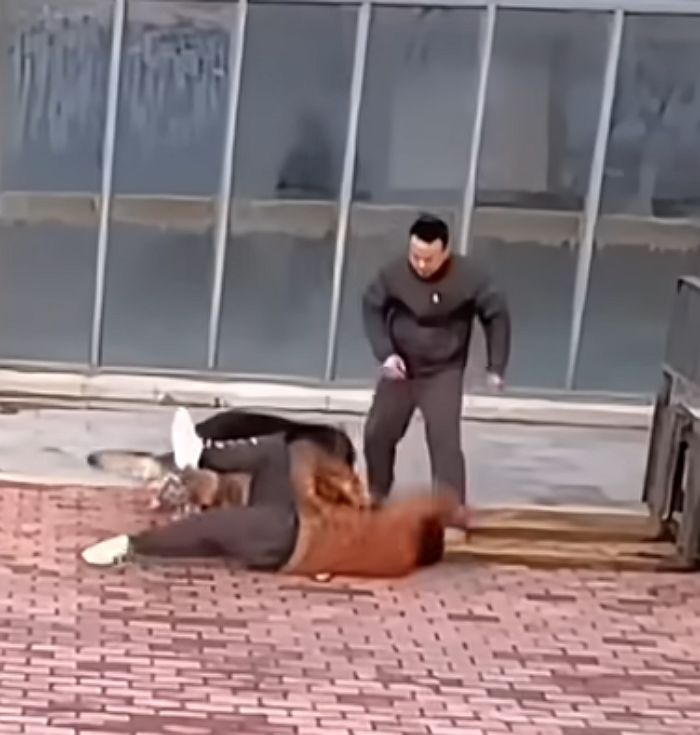 애니멀플래닛