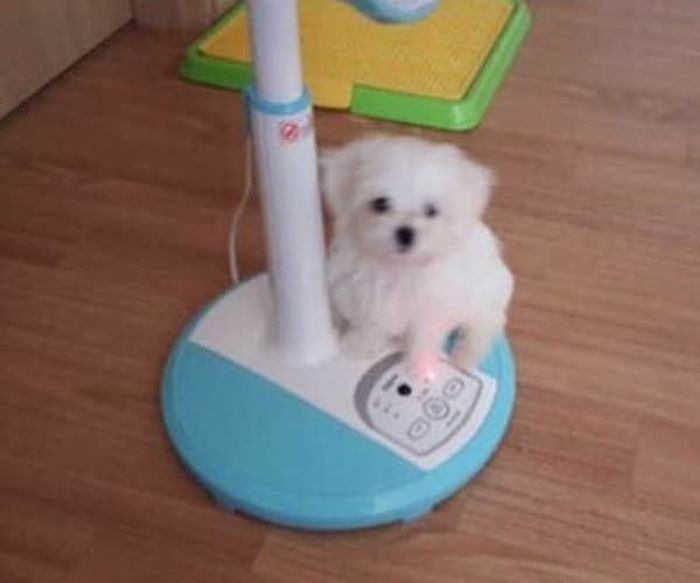 애니멀플래닛