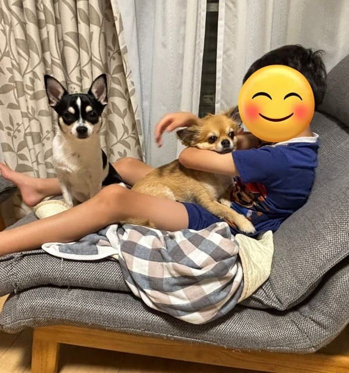 애니멀플래닛