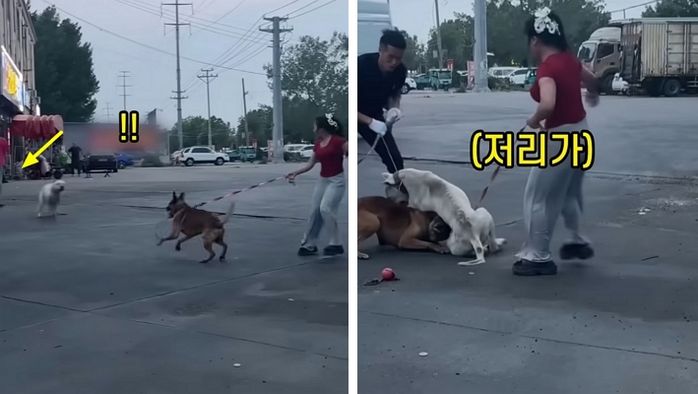 애니멀플래닛