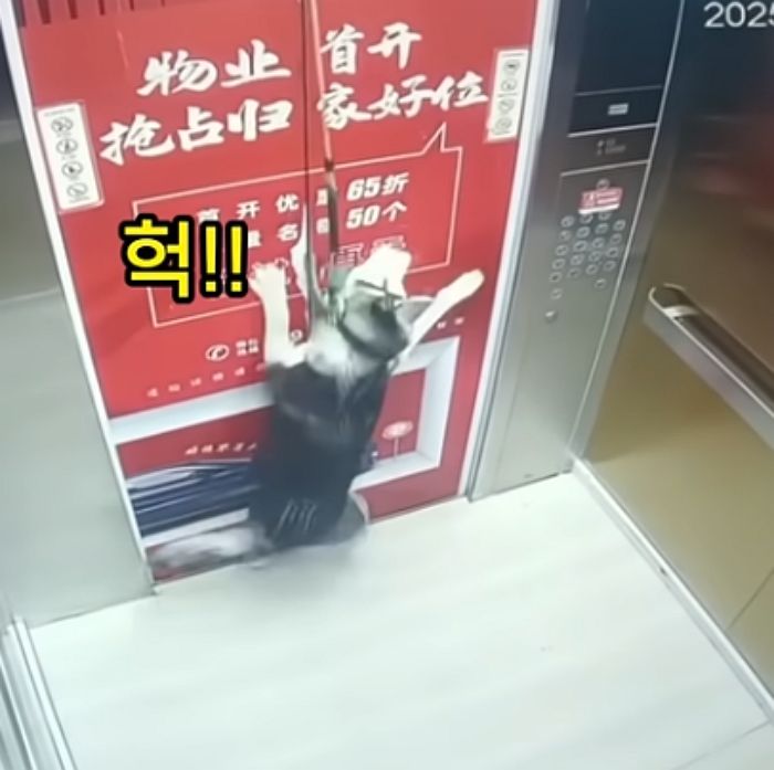 애니멀플래닛