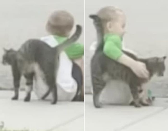 애니멀플래닛