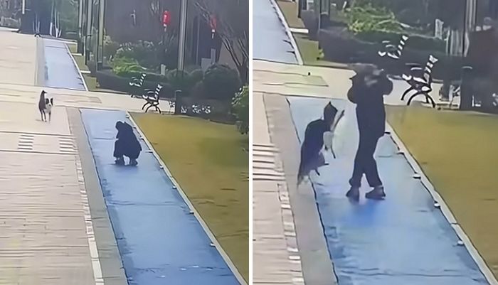 애니멀플래닛