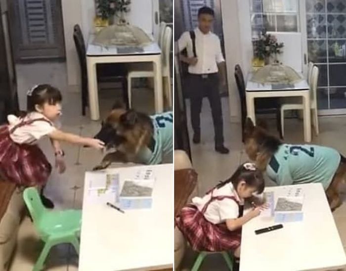 애니멀플래닛
