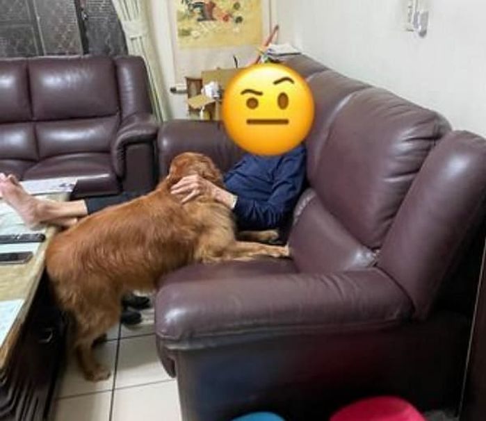 애니멀플래닛