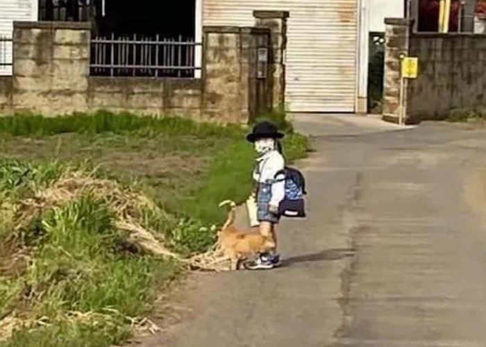 애니멀플래닛