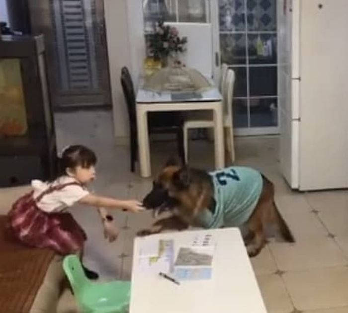 애니멀플래닛