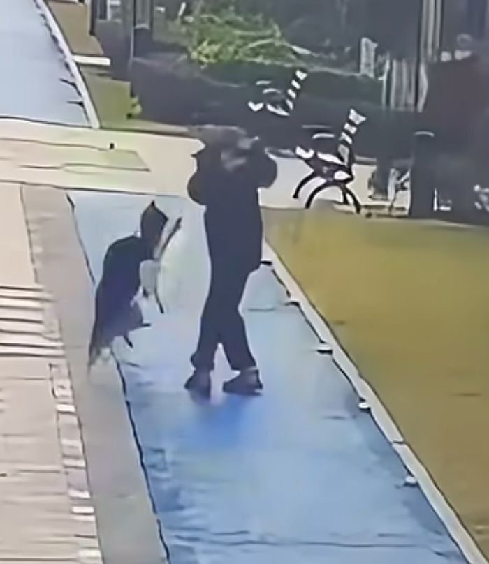 애니멀플래닛