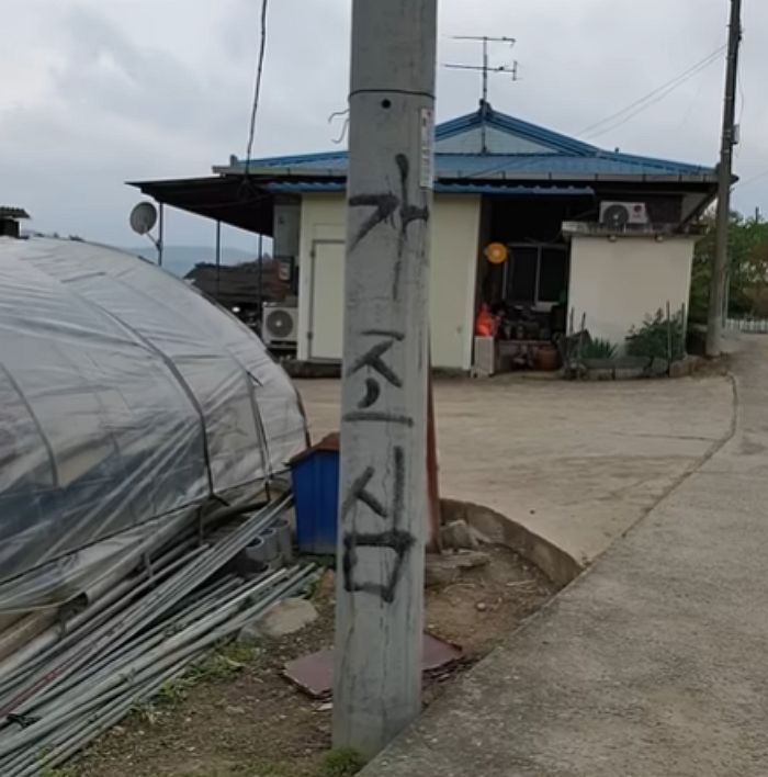 애니멀플래닛