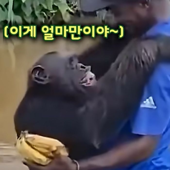 애니멀플래닛