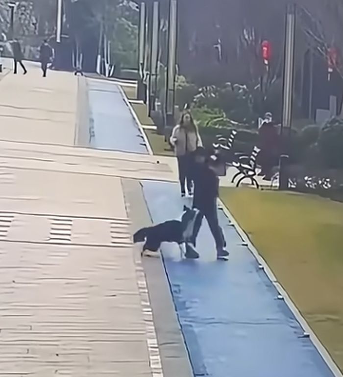 애니멀플래닛