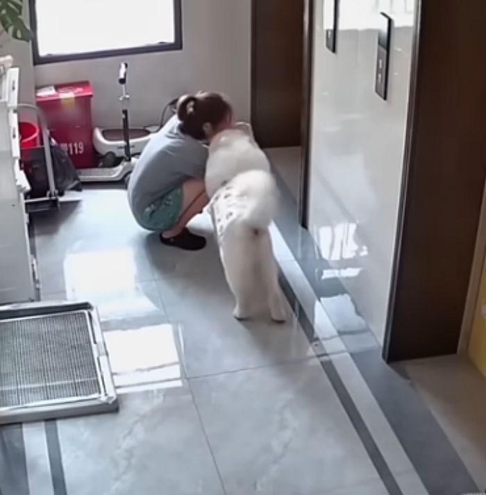 애니멀플래닛