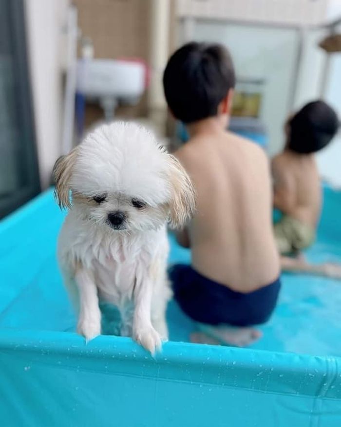 애니멀플래닛