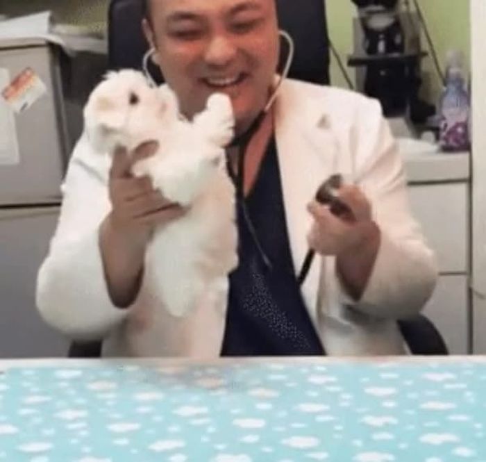 애니멀플래닛