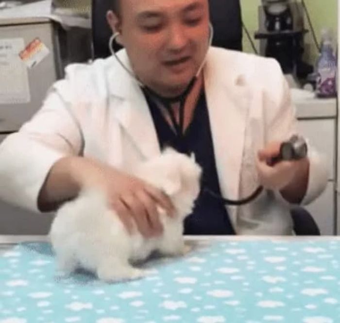 애니멀플래닛