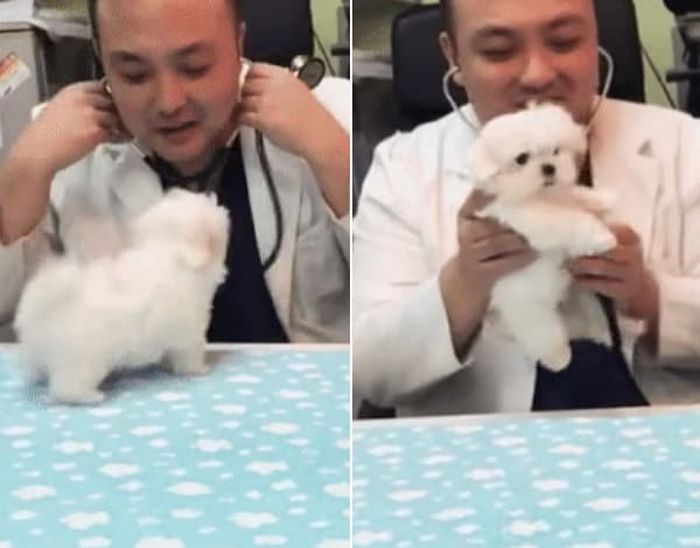 애니멀플래닛
