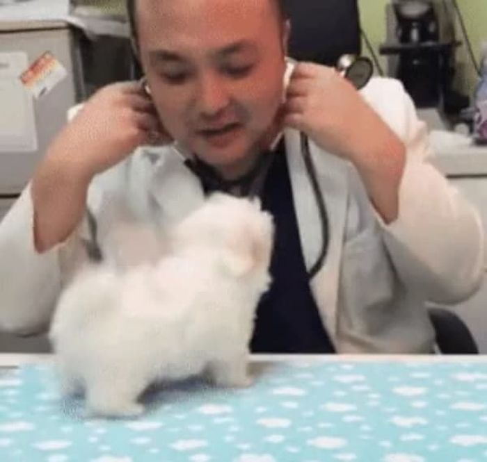 애니멀플래닛