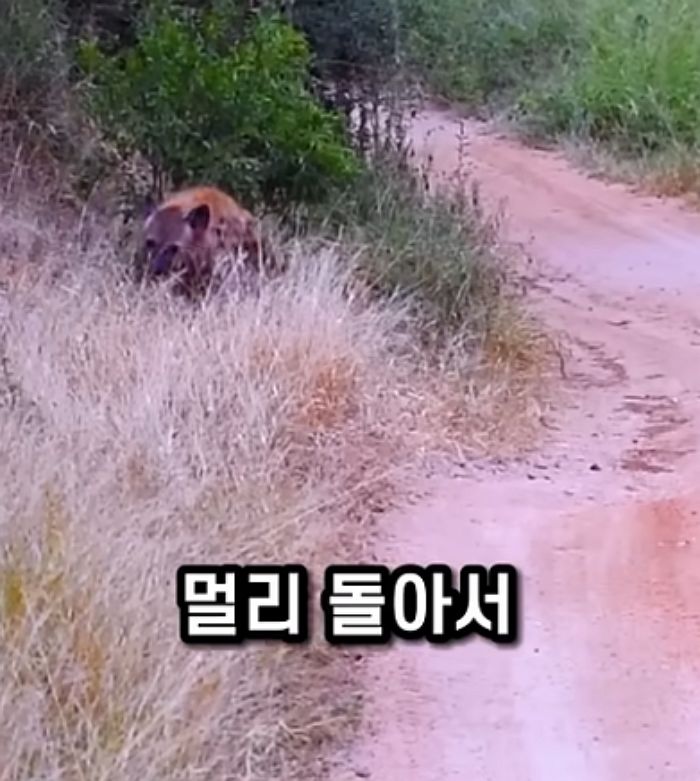 애니멀플래닛