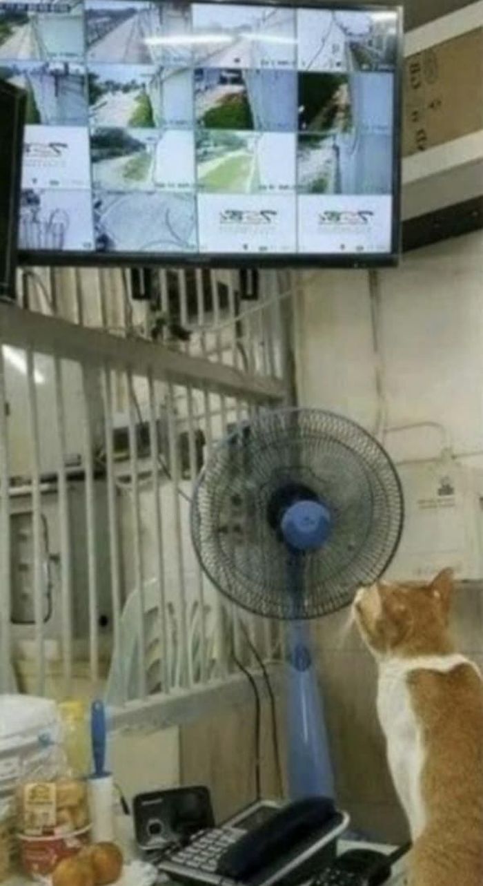 애니멀플래닛