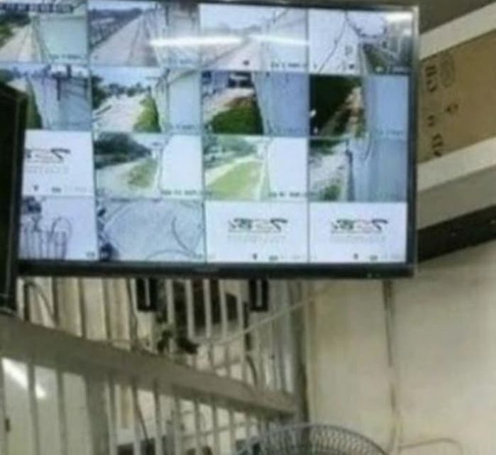 애니멀플래닛