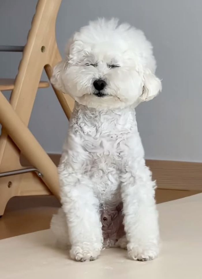 애니멀플래닛