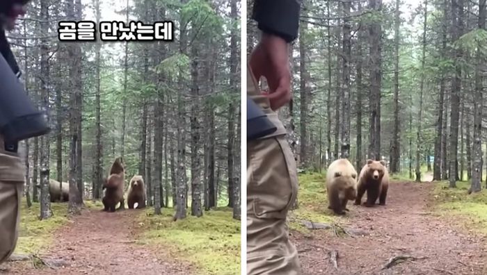 애니멀플래닛