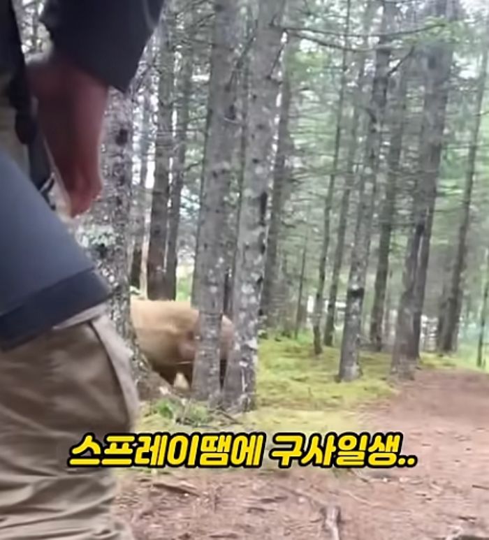 애니멀플래닛