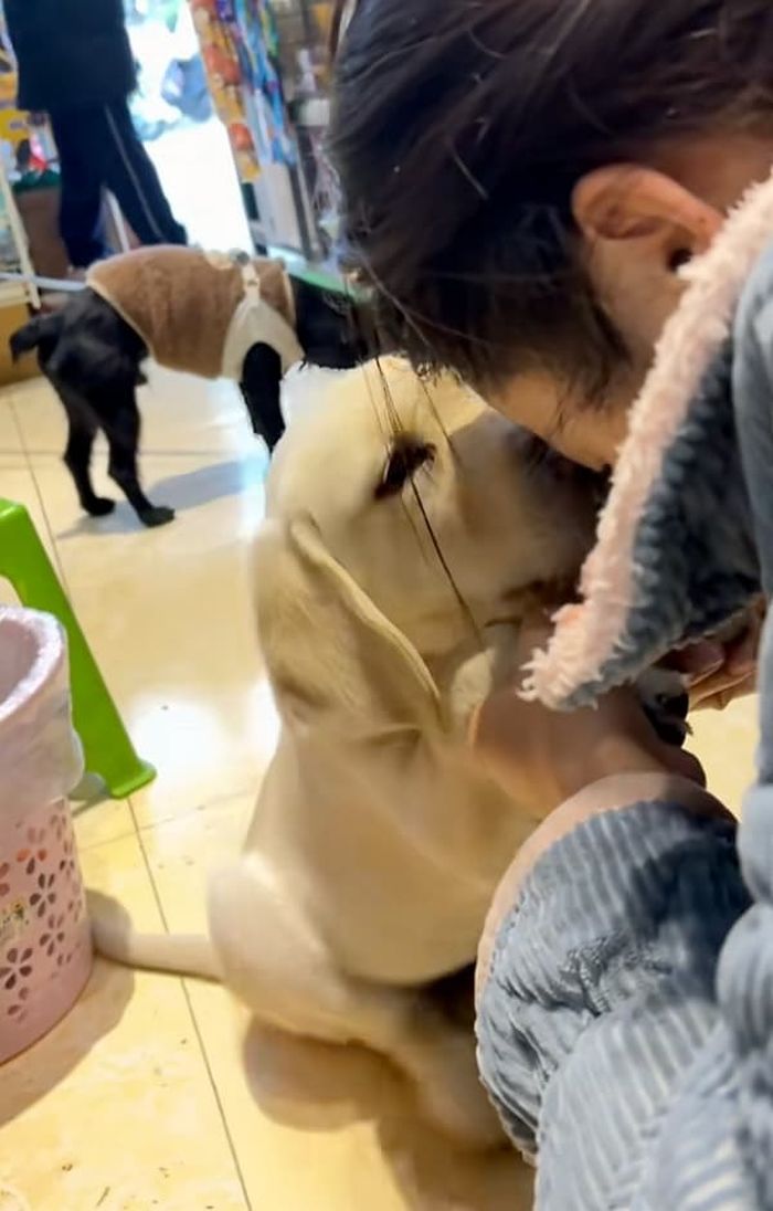 애니멀플래닛