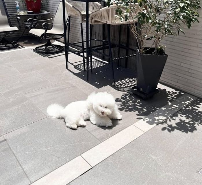 애니멀플래닛