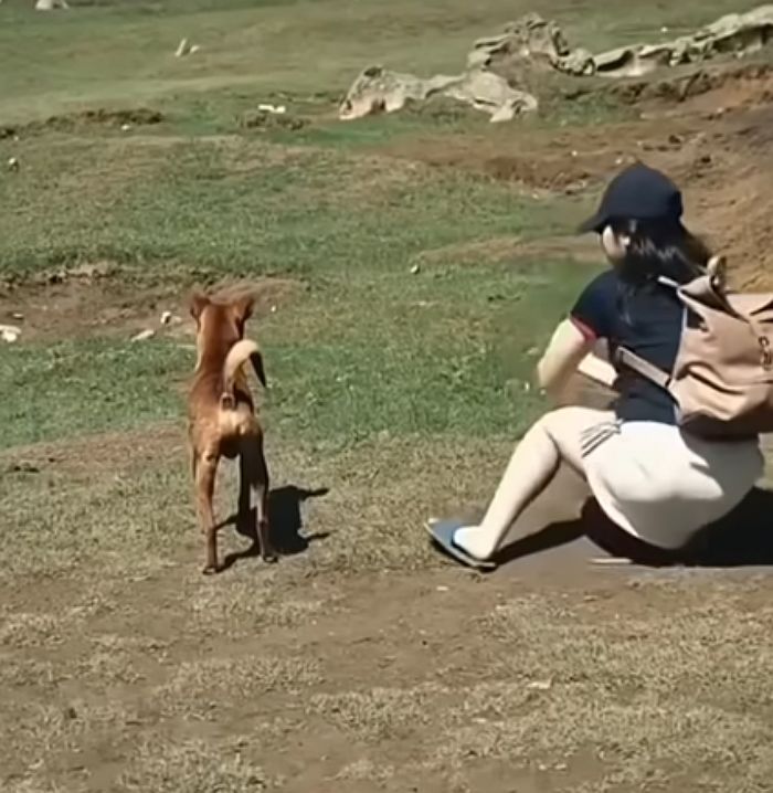 애니멀플래닛