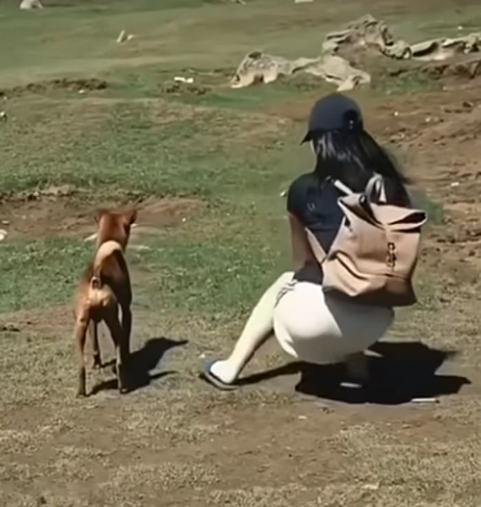 애니멀플래닛