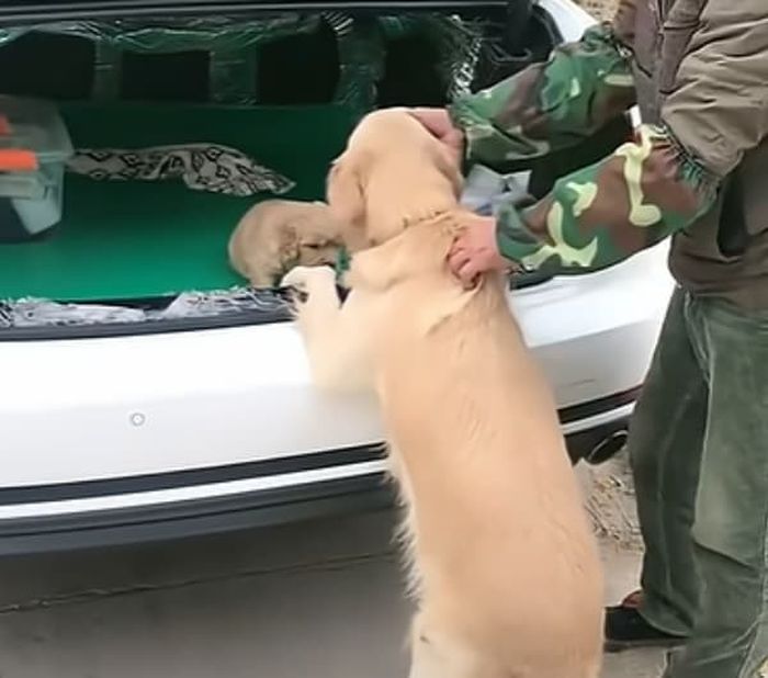 애니멀플래닛