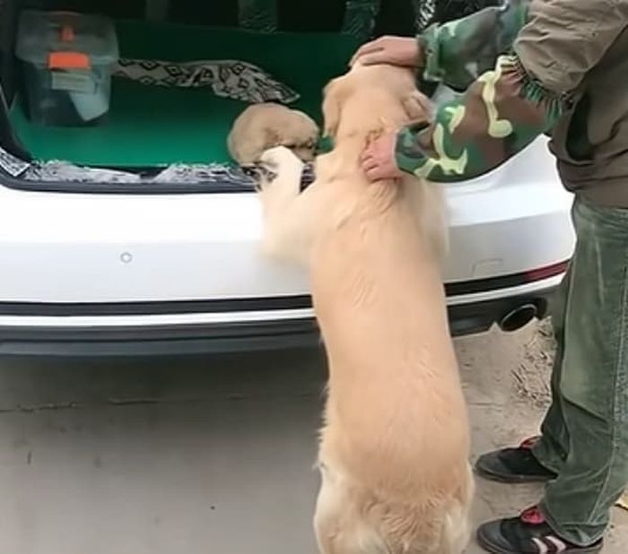 애니멀플래닛