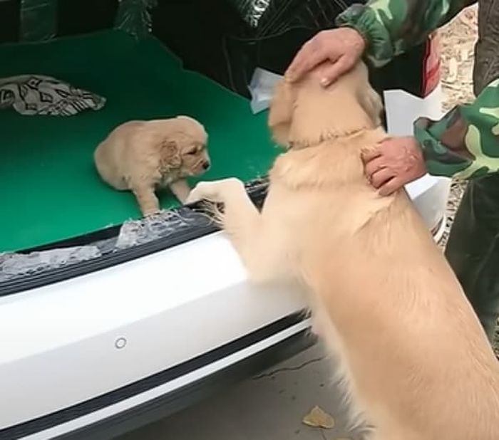 애니멀플래닛
