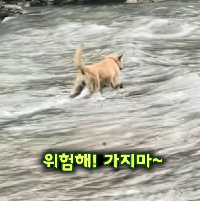 애니멀플래닛
