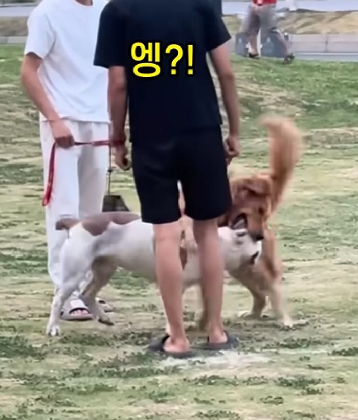 애니멀플래닛