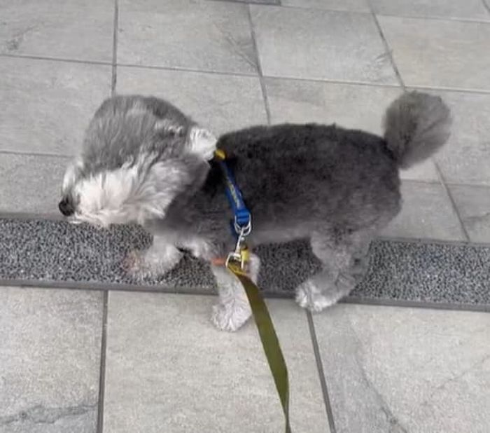 애니멀플래닛