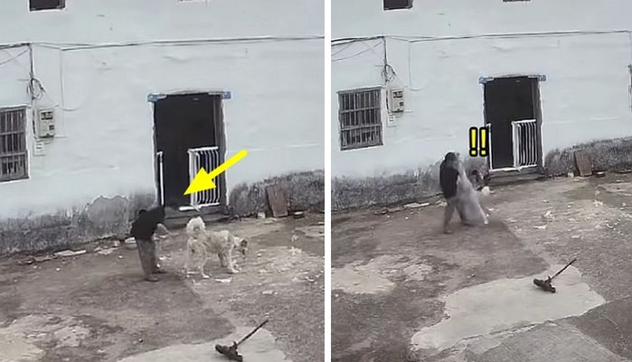 애니멀플래닛