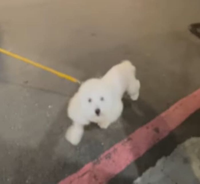 애니멀플래닛