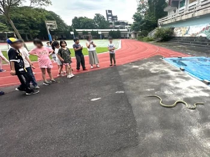 애니멀플래닛