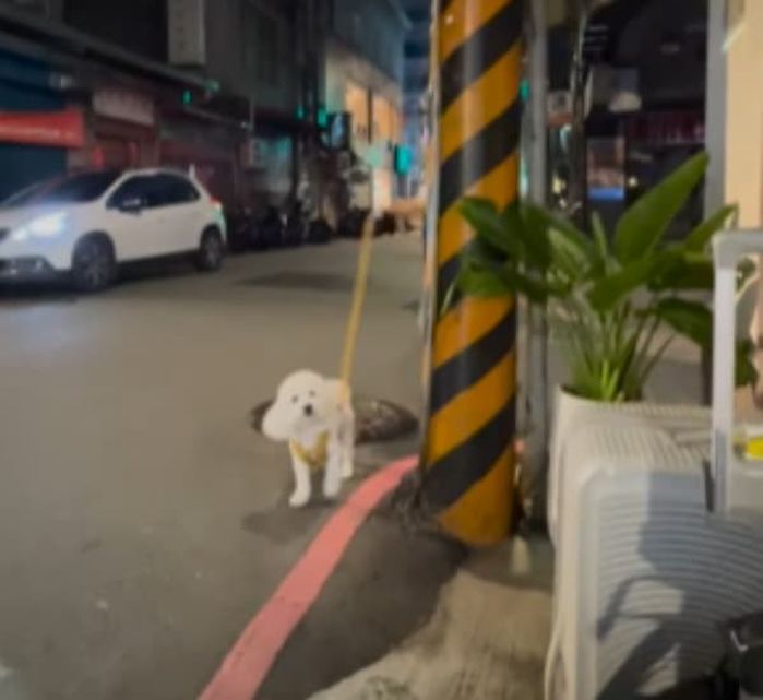 애니멀플래닛