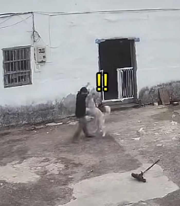 애니멀플래닛