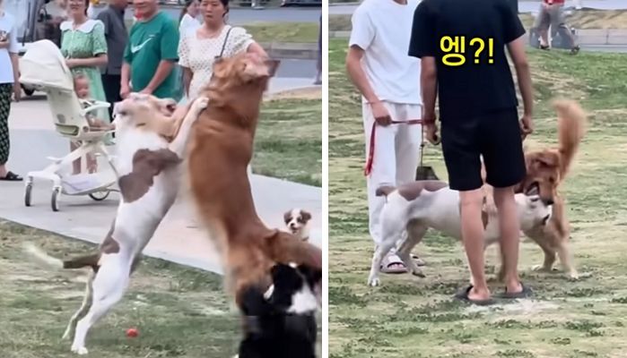 애니멀플래닛