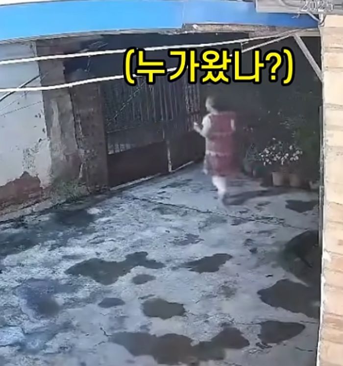 애니멀플래닛