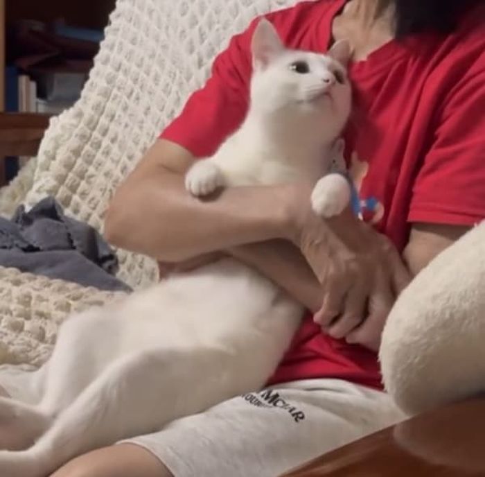 애니멀플래닛