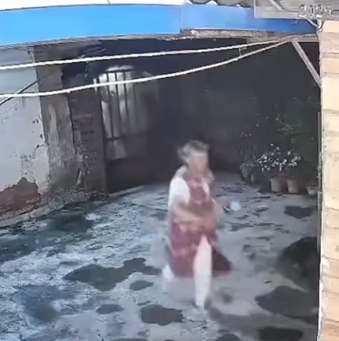 애니멀플래닛