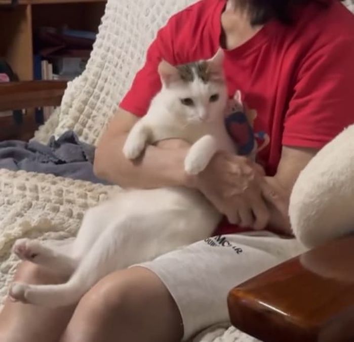 애니멀플래닛