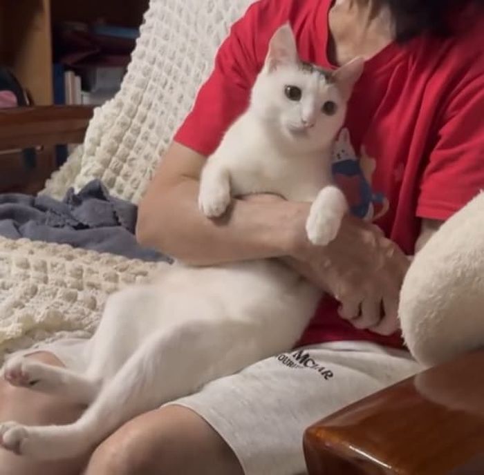 애니멀플래닛