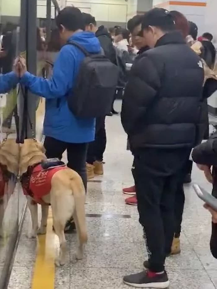 애니멀플래닛