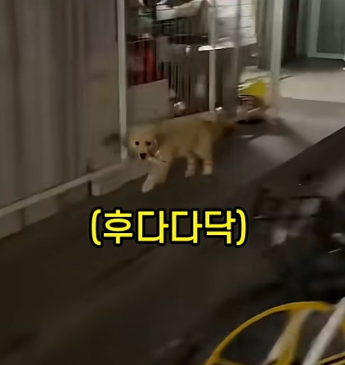 애니멀플래닛